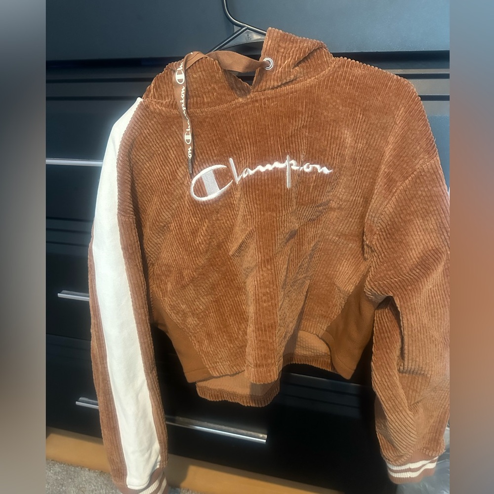 Champion cropped hoodie
